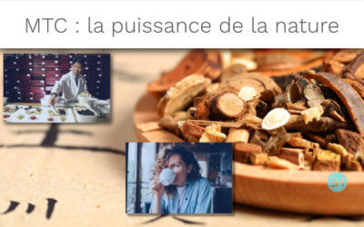 PHARMACOPÉE CHINOISE : UN TRAITEMENT EFFICACE