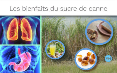 LE SUCRE DE CANNE : UN REMÈDE DE LA MÉDECINE CHINOISE