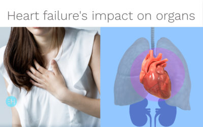 CHINESE MEDICINE AND HEART DISEASES