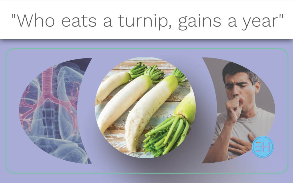 TURNIP: A POWERFUL ACTION ON THE LUNGS