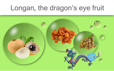 LONGAN: A SMALL FRUIT OF GREAT VALUE