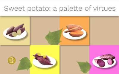 SWEET POTATO: A BOOSTER FOR IMMUNITY