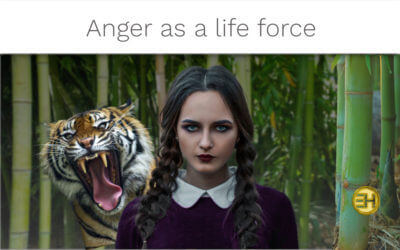 ANGER DAMAGES LIVER’S HEALTH