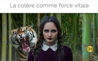 LA COLÈRE PEUT NUIRE AU FONCTIONNEMENT DU FOIE