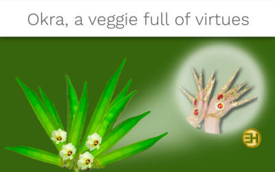 LADY FINGER HELPS PROMOTE DIGESTION
