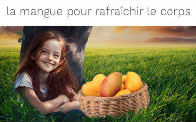 LA MANGUE TONIFIE L’ESTOMAC ET LA RATE