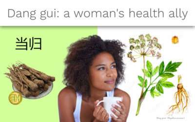 TONIFY YOUR BLOOD WITH DANG GUI