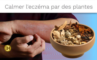 LA MÉDECINE CHINOISE AU SERVICE DE VOTRE PEAU