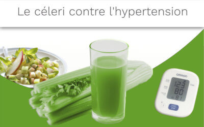 LE CÉLERI : UNE MINE DE BIENFAITS POUR LA SANTÉ