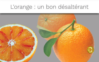 L’ORANGE : UN FRUIT DIURÉTIQUE ET HUMIDIFIANT