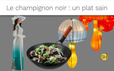 LE CHAMPIGNON NOIR : UN ALLIÉ DU POUMON
