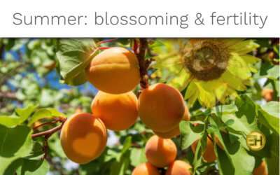 SUMMER: THE SEASON OF MOVEMENT AND PLEASURE