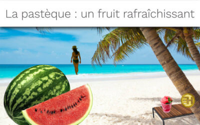 LA PASTÈQUE : LE FRUIT DES PAYS CHAUDS